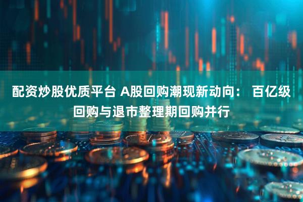 配资炒股优质平台 A股回购潮现新动向： 百亿级回购与退市整理期回购并行