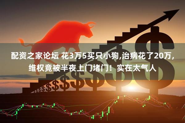 配资之家论坛 花3万5买只小狗,治病花了20万,维权竟被半夜上门堵门！实在太气人